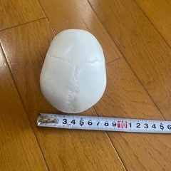 骨模型 頭部模型 頭蓋骨模型 ドクロの画像
