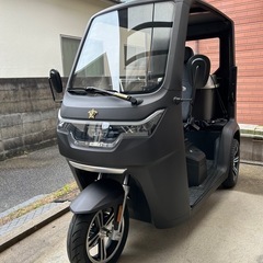 EV TUKTUK の画像