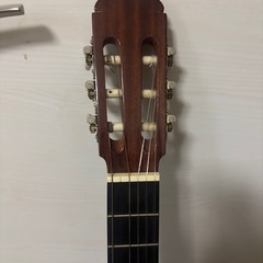 Jasmine by TAKAMINE JS441クラッシックギターの画像