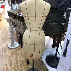 tokyo キイヤ トルソー マネキンの画像