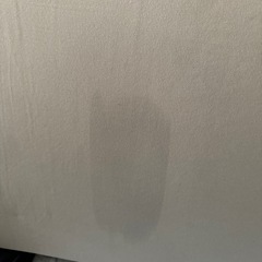 ニトリ　敷きマットの画像