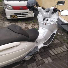 スカイウェーブ250 バイク
の画像