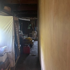 なんじゃ‼️次から次へと🤭🤭すごいなぁの画像