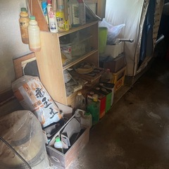 なんじゃ‼️次から次へと🤭🤭すごいなぁの画像