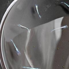 カブキブルーメダカ若魚15匹選外の画像