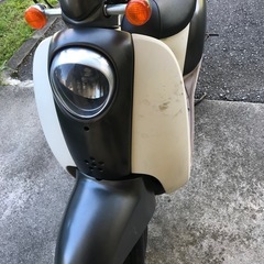スクーピーの画像