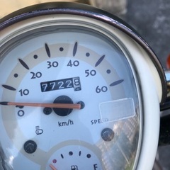 スクーピーの画像