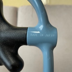 アイーナスゴオシダブルの画像