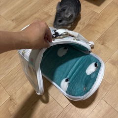 小動物用移動キャリーケースの画像