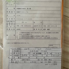 (取り引き者決定)スズキ　レッツバスケット　ワインレッドの画像