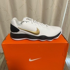 Nike HYPERDUNK 2017 LOW EP新品未使用の画像