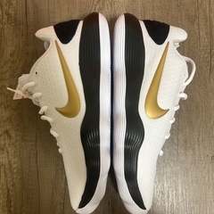 Nike HYPERDUNK 2017 LOW EP新品未使用の画像
