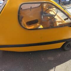 光岡BUBU50の画像