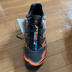 SALOMON XT-6 EXCLUSIVE 鯉の画像