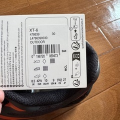 SALOMON XT-6 EXCLUSIVE 鯉の画像