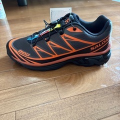 SALOMON XT-6 EXCLUSIVE 鯉の画像