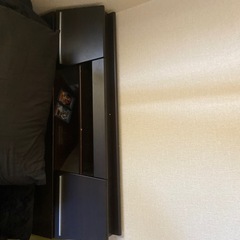 ベットの画像