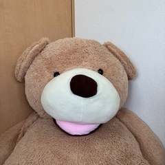 でかいクマ コストコ  ぬいぐるみの画像