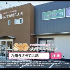 可愛いウサギさん達と楽しくお仕事♬の画像