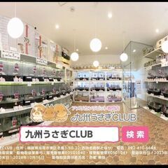 可愛いウサギさん達と楽しくお仕事♬の画像
