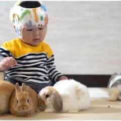 可愛いウサギさん達と楽しくお仕事♬の画像
