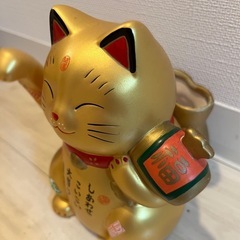 招き猫　手が動くの画像