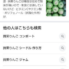 摘果りんご 1kgの画像