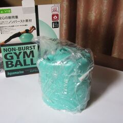 未使用　ノンバースト　GYM BALL　ジムボール　６５cm　適応身長　１５５～１７５cm　耐荷重２００㎏　ポンプ付きの画像