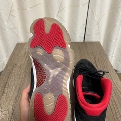 AIR JORDAN 11 RETRO LOW の画像