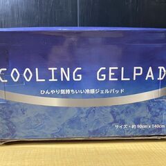 T357-70319 冷感ジェルマット 90cm x 140cm シロクマ ライトブルー ジェルが熱を吸収し、冷たく感じます 布団やベッドの上に敷いて使用の画像