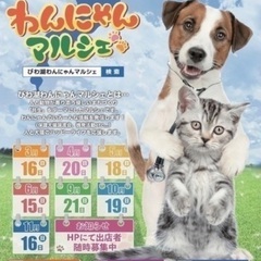 9/21(日) びわ湖わんにゃんマルシェ