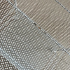 8/27朝までに連絡要。ラック　隙間収納　洗面所　リビング　玄関　　の画像