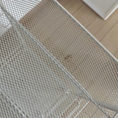 8/27朝までに連絡要。ラック　隙間収納　洗面所　リビング　玄関　　の画像