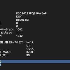 MacBook Air（Retina,13インチ,2019）256GB/8GB〈MVFN2J/A〉④の画像