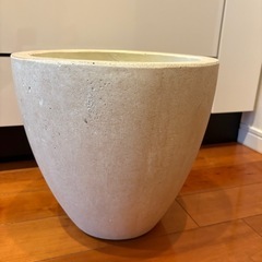 観葉植物用の鉢の画像