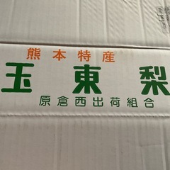 交渉中熊本特産　玉東梨の画像