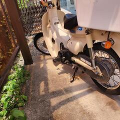 ホンダの画像