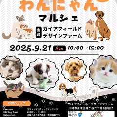 🐾「第1回 梶が谷わんにゃんマルシェ」開催🐾
