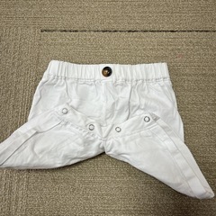白パンツの画像