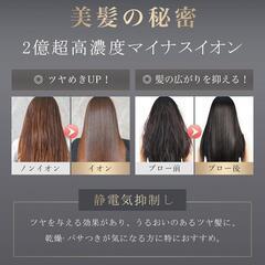❣️新品❣️【美人百花掲載】ANLAN ダブルケアドライヤー LDK雑誌A評価 速乾の画像