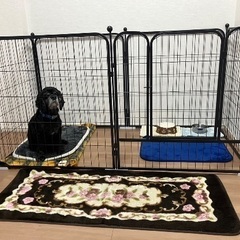 ペットサークル　ペットケージの画像