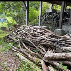 木 薪 伐採木の画像