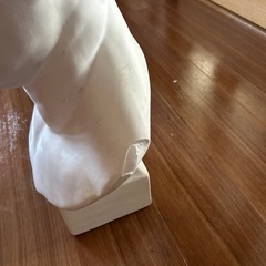 石膏像　アグリッパ
の画像