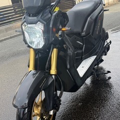 ホンダズーマーXの画像