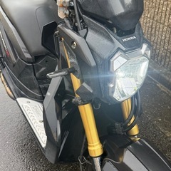 ホンダズーマーXの画像