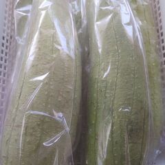 【激安】　野菜各種　オール100円の画像