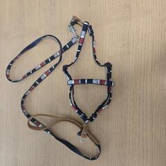 小型犬用　ハーネス&リードの画像