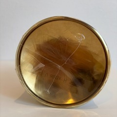 ✅新品　アース　虫コロリ　の画像