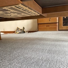 交渉中こたつの画像