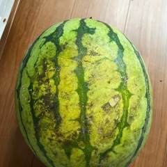 家庭菜園のすいかの画像
